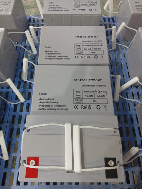 Питание через отключение и тепловые волны: батарея с глубоким циклом UPS 12V55AH, построенный для требовательного климата
